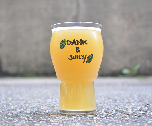 Best Glassware For Craft Beer and Best Glass For IPA Beer