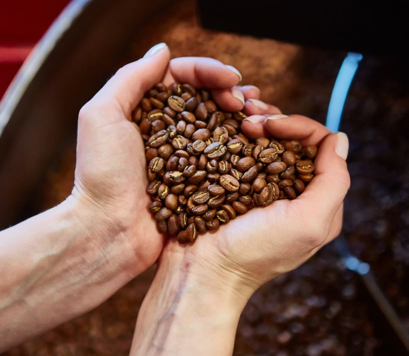 fresh roasted coffee beans online