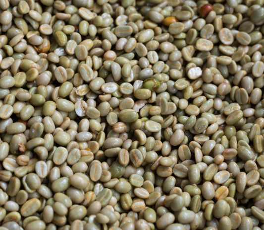 Natural vs. Washed Process Top Coffee Delivered: A Flavor Face-Off
