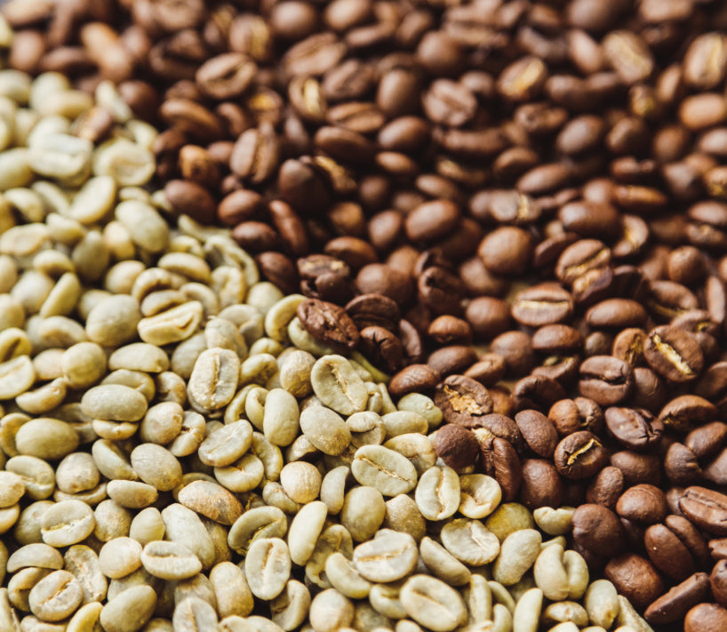 A Brew as Good as Gold: Why Top Coffee Grading Matters More Than You Think