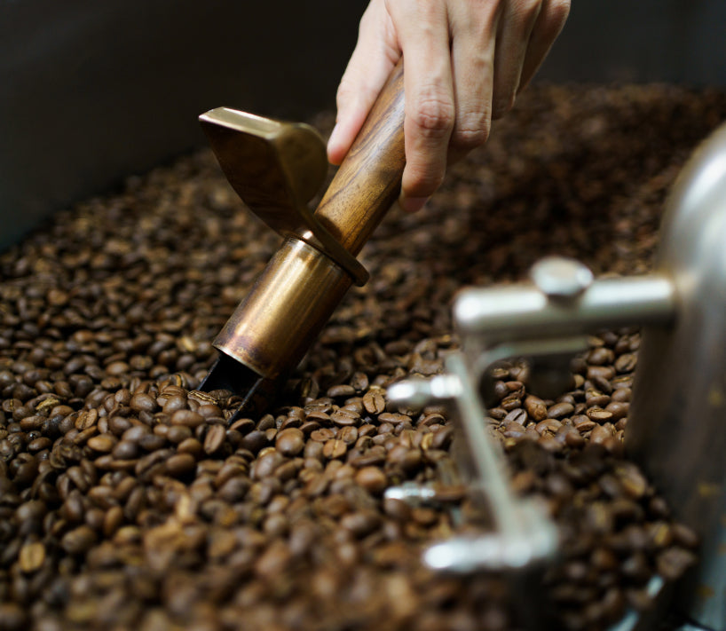 best coffee to buy online