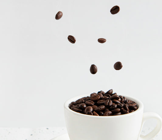 How YOU Can Tell The Difference Between Swiss Water Process & Traditional Decaf Coffee!