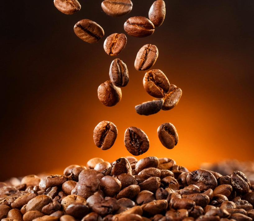 Specialty Coffee Bean Grading 101: Decoding the Score Behind Your Cup