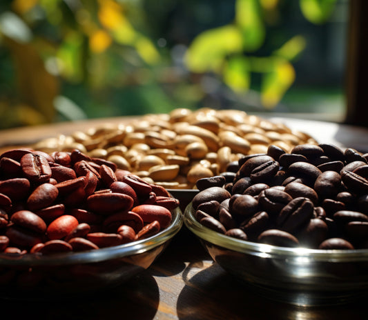 Exploring the Most Popular Top Coffee Bean Varieties in Specialty Coffee