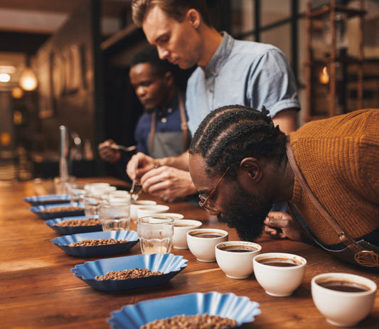 How Does Cupping Help in Evaluating Top Coffee Quality?