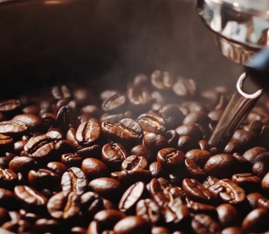 freshest coffee to buy online community 