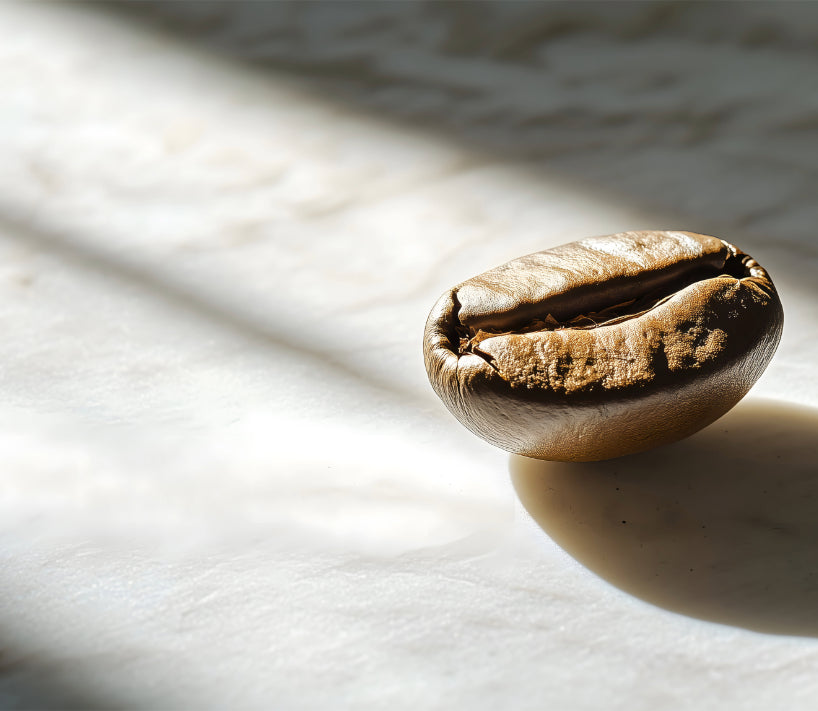 The Truth About Mold in Your Best Top Coffee Delivered