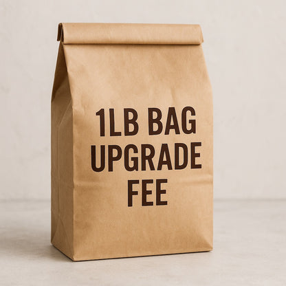 Additional Fee For Curated Programs