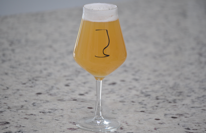 Best Hazy IPA Glass, Best IPA Beer Glassware, and Best Glass For IPA beer