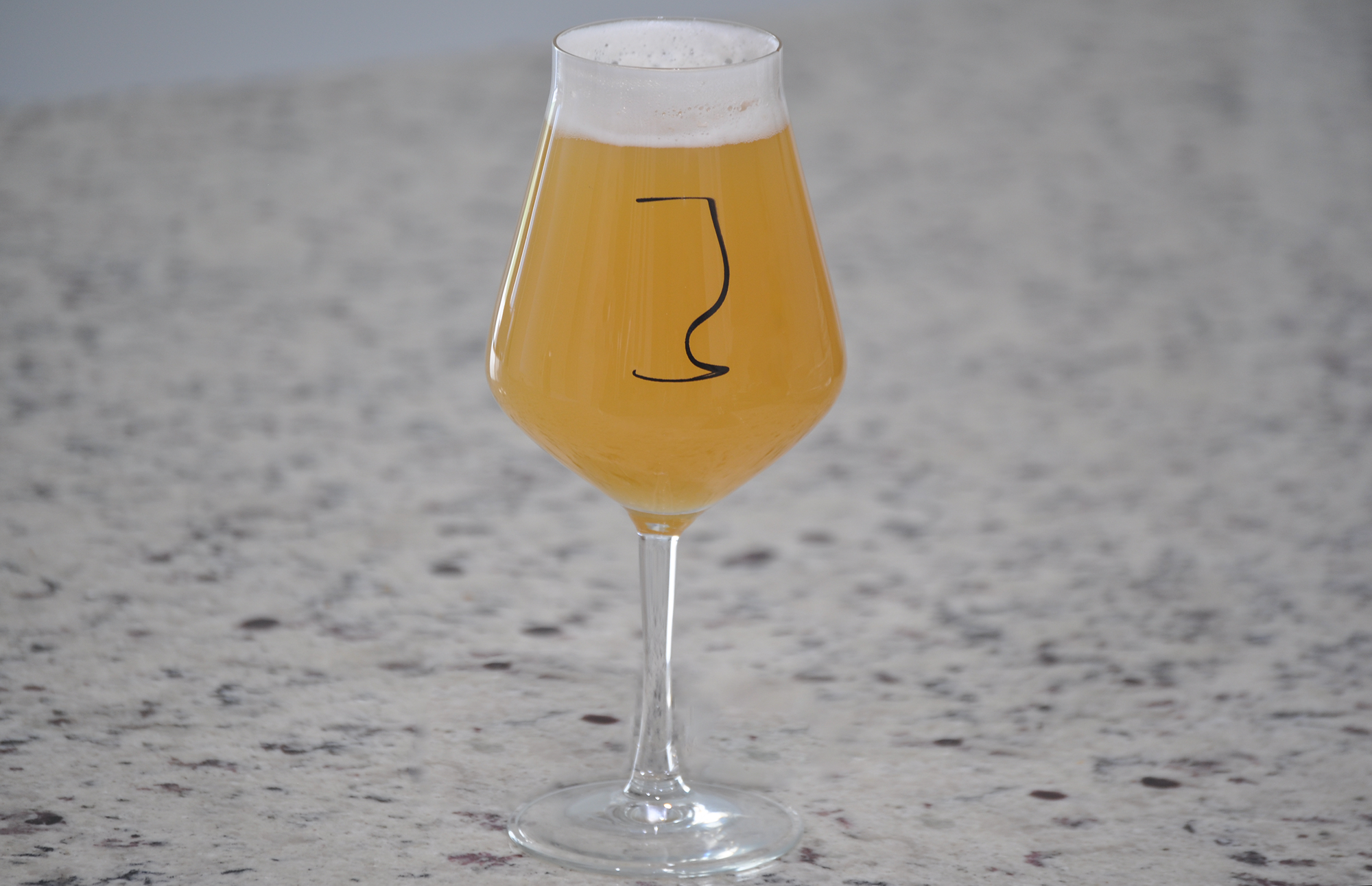 Photo 1 of 4 in The First IPA-Specific Beer Glass - Dwell