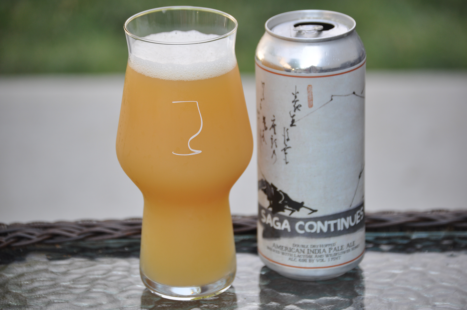 Best Craft Beer Glasses, and Best Glass For IPA Beer