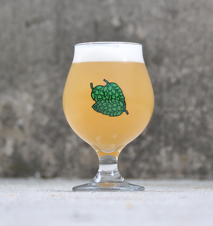 Buy IPA Beer Glassware and Best IPA Beer Glasses