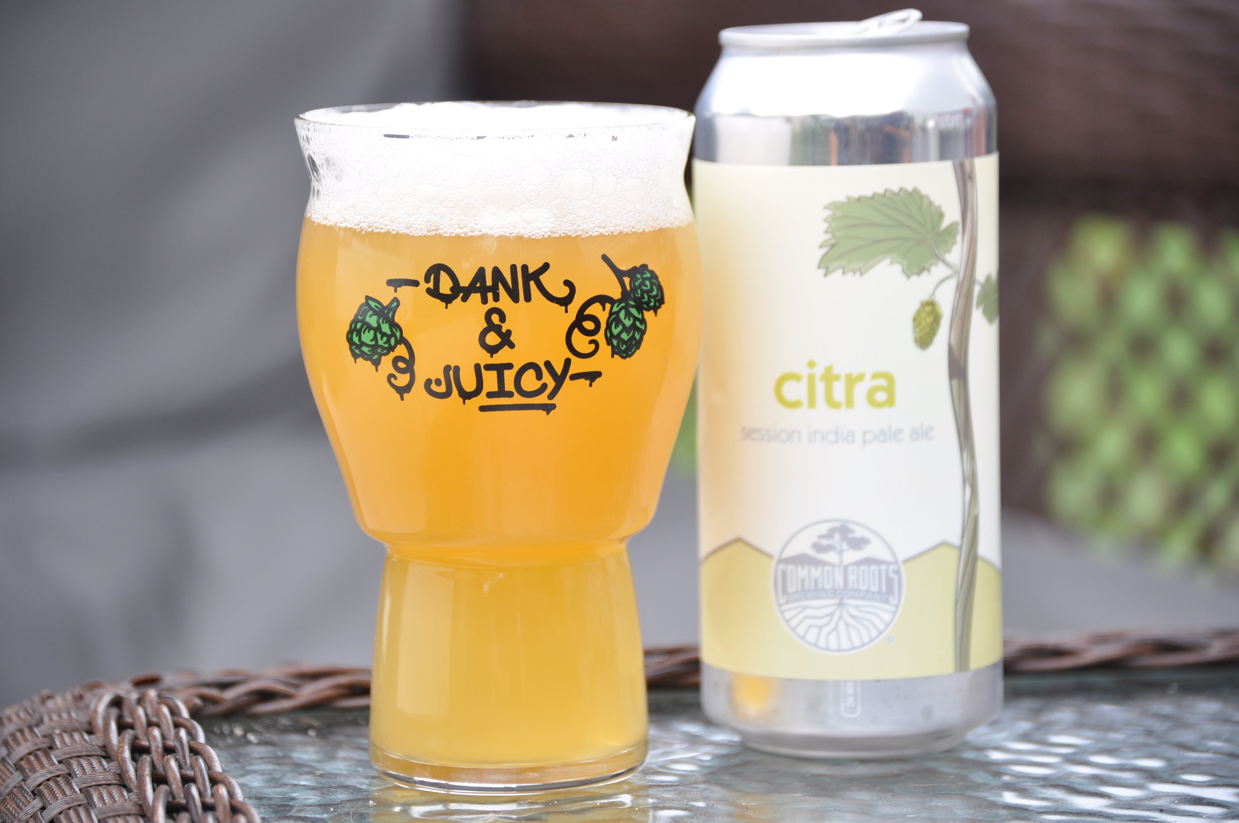 Dank & Juicy Craft Beer Pint Glass - Best Glass for IPA & Gose