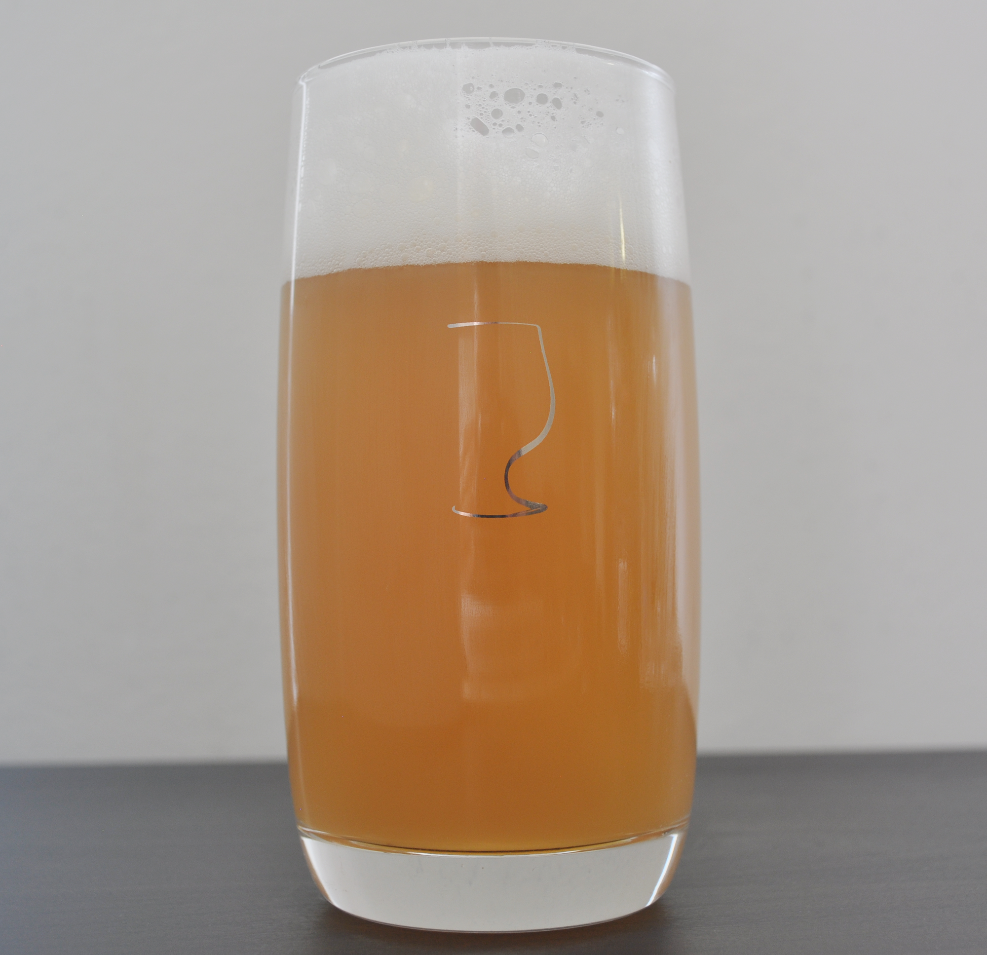 Best Glass For IPA, Proper Beer Glassware, 17oz